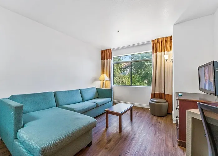 Apartment 1 Bd 1 B Classic Unrenovated Chandler