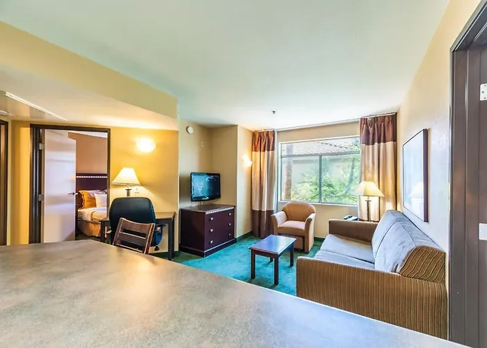 1 Bd 1 B Classic Unrenovated Apartment *